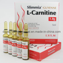 Amino Acids Biosynthesized Lysine Methionine Carnitine